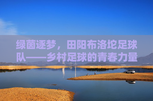 绿茵逐梦，田阳布洛坨足球队——乡村足球的青春力量与梦想传承，绿茵逐梦，田阳布洛坨足球队——乡村足球的青春力量与梦想传承