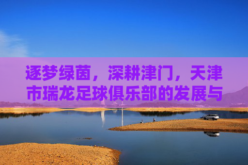 逐梦绿茵,深耕津门,天津市瑞龙足球俱乐部的发展与时代担当