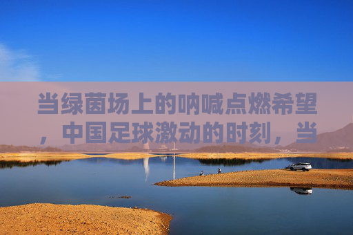 当绿茵场上的呐喊点燃希望，中国足球激动的时刻，当绿茵场上的呐喊点燃希望，中国足球激动的时刻