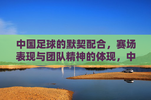 中国足球的默契配合,赛场表现与团队精神的体现,中国足球的默契配合,赛场表现与团队精神的体现