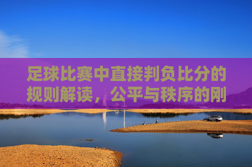 足球比赛中直接判负比分的规则解读，公平与秩序的刚性约束