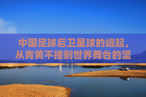 中国足球后卫星球的崛起,从青黄不接到世界舞台的坚实屏障,中国足球后卫星球的崛起,从青黄不接到世界舞台的坚实屏障