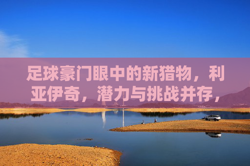 足球豪门眼中的新猎物，利亚伊奇，潜力与挑战并存，足球豪门眼中的新猎物，利亚伊奇，潜力与挑战并存