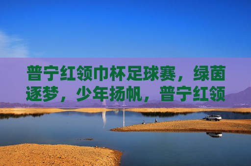 普宁红领巾杯足球赛,绿茵逐梦,少年扬帆,普宁红领巾杯足球赛,绿茵逐梦,少年扬帆