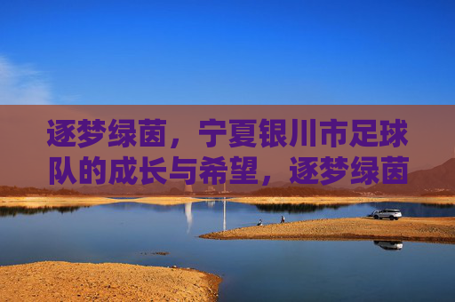 逐梦绿茵，宁夏银川市足球队的成长与希望，逐梦绿茵，宁夏银川市足球队的成长与希望