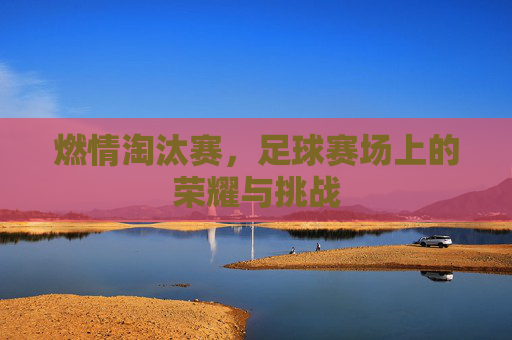 燃情淘汰赛，足球赛场上的荣耀与挑战
