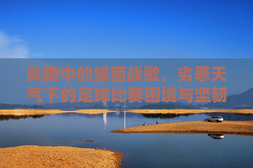 风雨中的绿茵战歌,劣恶天气下的足球比赛困境与坚韧,风雨中的绿茵战歌,劣恶天气下的足球比赛困境与坚韧