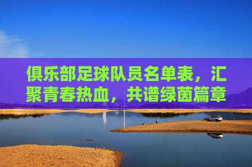俱乐部足球队员名单表，汇聚青春热血，共谱绿茵篇章