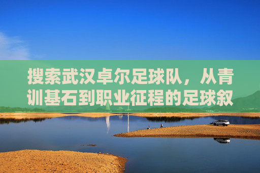 搜索武汉卓尔足球队，从青训基石到职业征程的足球叙事