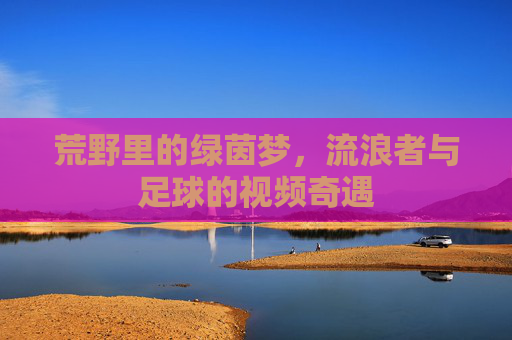 荒野里的绿茵梦，流浪者与足球的视频奇遇