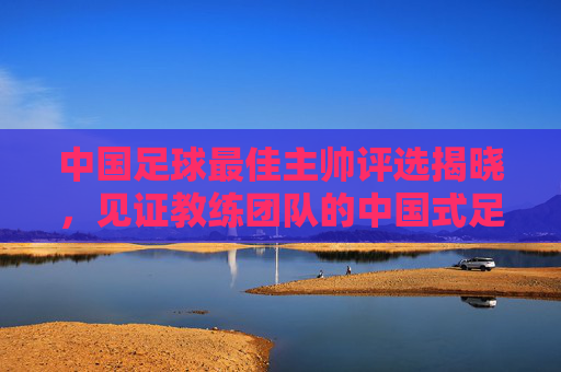 中国足球最佳主帅评选揭晓，见证教练团队的中国式足球进化