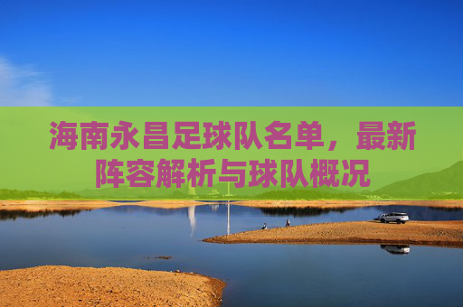 海南永昌足球队名单，最新阵容解析与球队概况