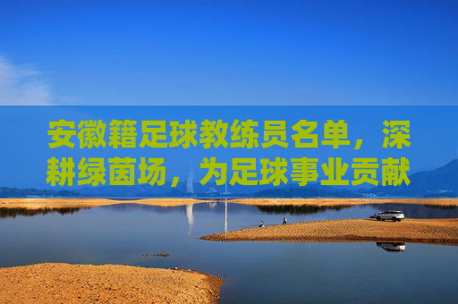 安徽籍足球教练员名单,深耕绿茵场,为足球事业贡献力量