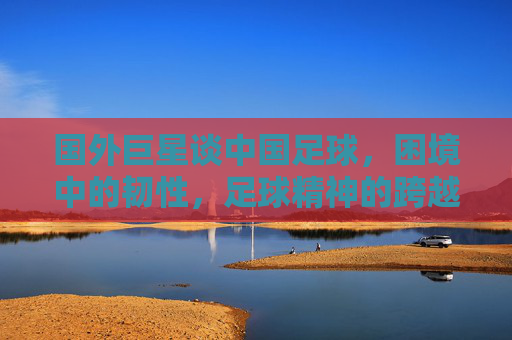 国外巨星谈中国足球，困境中的韧性，足球精神的跨越国界共鸣