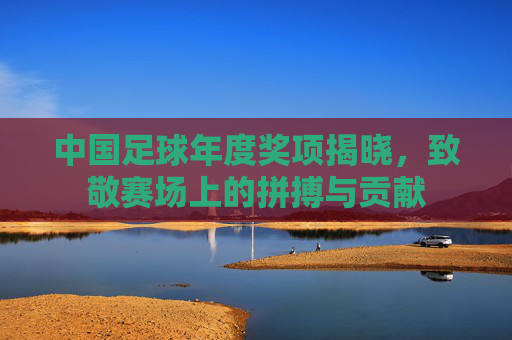 中国足球年度奖项揭晓，致敬赛场上的拼搏与贡献
