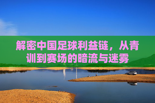 解密中国足球利益链，从青训到赛场的暗流与迷雾