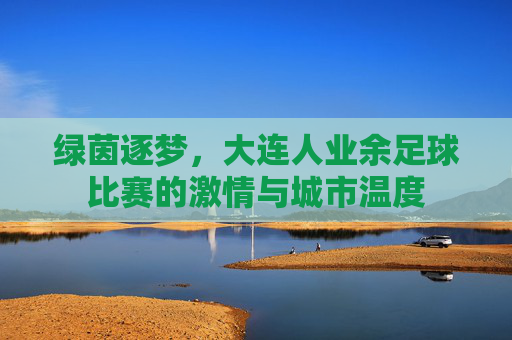 绿茵逐梦，大连人业余足球比赛的激情与城市温度