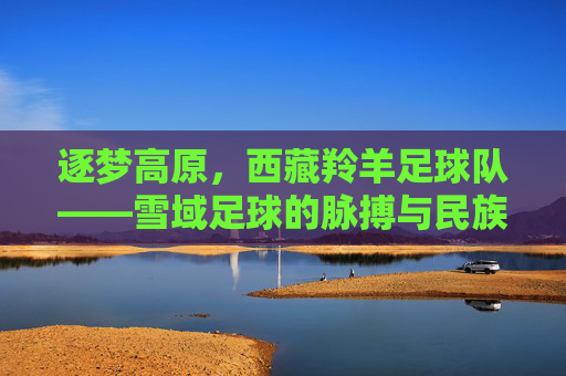 逐梦高原,西藏羚羊足球队——雪域足球的脉搏与民族情怀