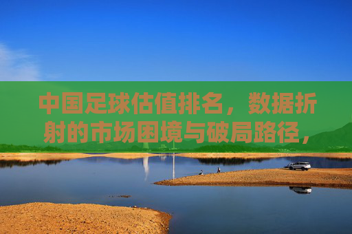 中国足球估值排名，数据折射的市场困境与破局路径，中国足球估值排名，数据折射的市场困境与破局路径