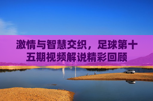 激情与智慧交织,足球第十五期视频解说精彩回顾