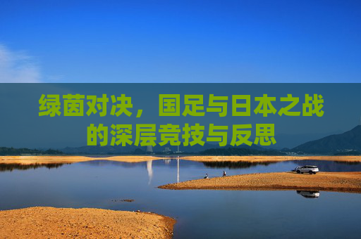 绿茵对决，国足与日本之战的深层竞技与反思