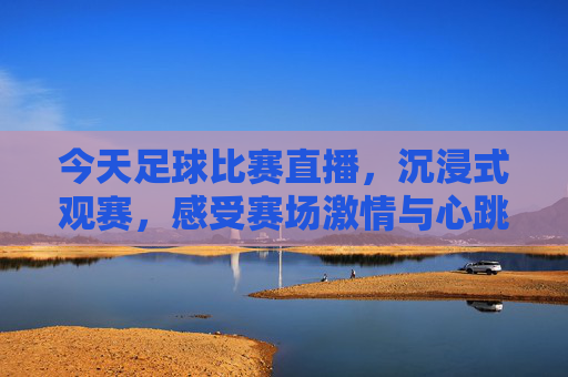 今天足球比赛直播,沉浸式观赛,感受赛场激情与心跳