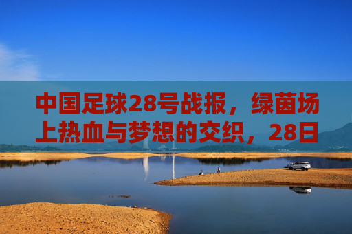 中国足球28号战报,绿茵场上热血与梦想的交织,28日赛事回顾与展望