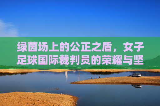 绿茵场上的公正之盾,女子足球国际裁判员的荣耀与坚守