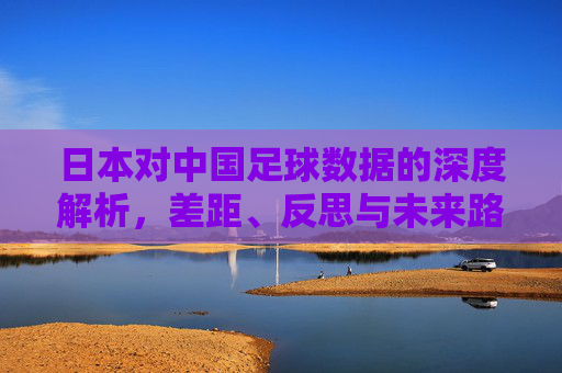 日本对中国足球数据的深度解析，差距、反思与未来路径探索