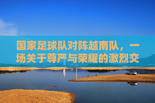 国家足球队对阵越南队，一场关于尊严与荣耀的激烈交锋，热血青春燃动赛场