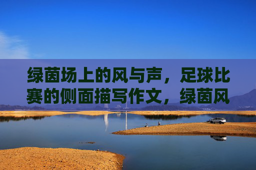 绿茵场上的风与声,足球比赛的侧面描写作文,绿茵风声,足球比赛的侧面描写作文