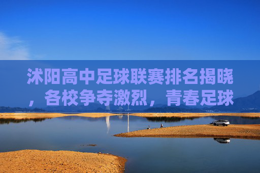 沭阳高中足球联赛排名揭晓,各校争夺激烈,青春足球绽放活力与拼搏精神