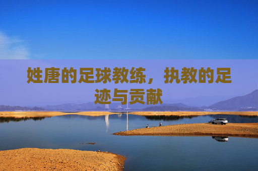 姓唐的足球教练，执教的足迹与贡献