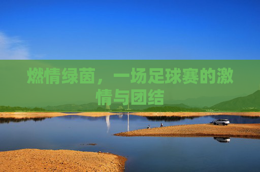 燃情绿茵，一场足球赛的激情与团结