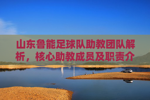 山东鲁能足球队助教团队解析,核心助教成员及职责介绍