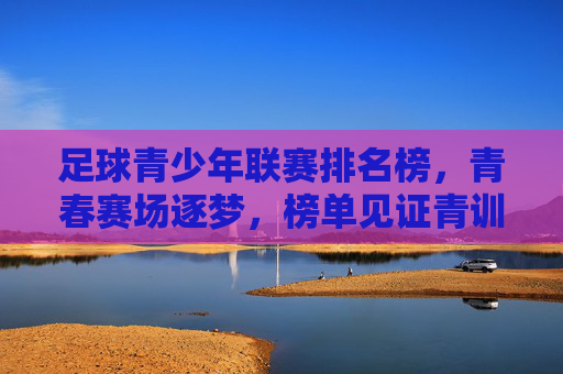 足球青少年联赛排名榜,青春赛场逐梦,榜单见证青训活力与成长希望