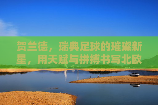 贺兰德,瑞典足球的璀璨新星,用天赋与拼搏书写北欧荣耀,贺兰德,瑞典足球的璀璨新星,用天赋与拼搏书写北欧荣耀