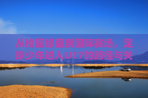 从校园绿茵到国际赛场，足球少年进入U17的路径与关键要素，从校园绿茵到国际赛场，足球少年进入U17的路径与关键要素