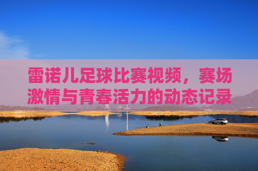 雷诺儿足球比赛视频，赛场激情与青春活力的动态记录