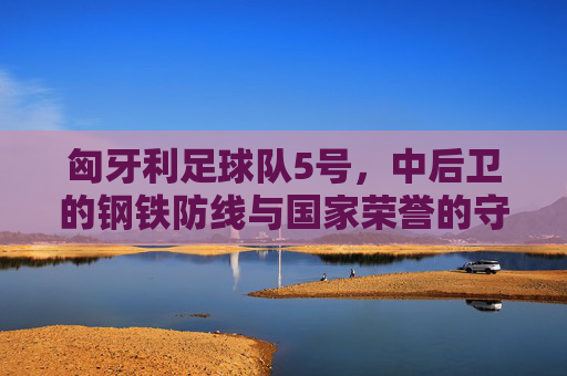 匈牙利足球队5号，中后卫的钢铁防线与国家荣誉的守护者