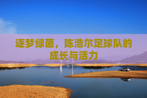 逐梦绿茵,陈浩尔足球队的成长与活力