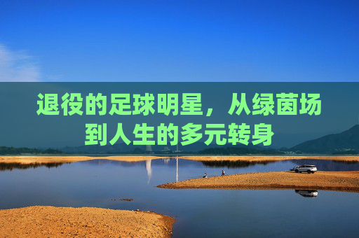 退役的足球明星,从绿茵场到人生的多元转身