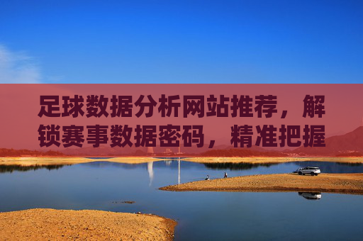 足球数据分析网站推荐，解锁赛事数据密码，精准把握赛场脉搏