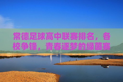 常德足球高中联赛排名,各校争锋,青春逐梦的绿茵赛场,常德足球高中联赛排名,各校争锋,青春逐梦的绿茵赛场