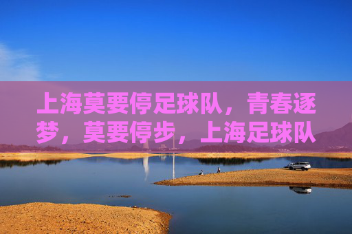 上海莫要停足球队,青春逐梦,莫要停步,上海足球队,青春逐梦,莫要停步