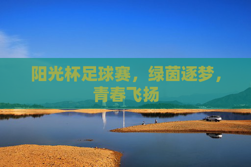 阳光杯足球赛，绿茵逐梦，青春飞扬