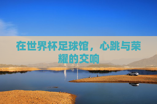 在世界杯足球馆，心跳与荣耀的交响