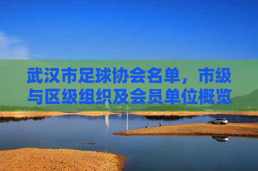 武汉市足球协会名单，市级与区级组织及会员单位概览，武汉市足球协会名单，市级与区级组织及会员单位概览