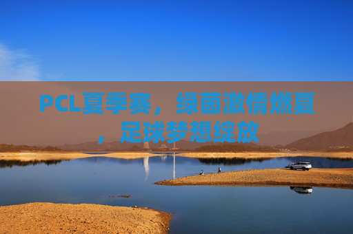 PCL夏季赛,绿茵激情燃夏,足球梦想绽放