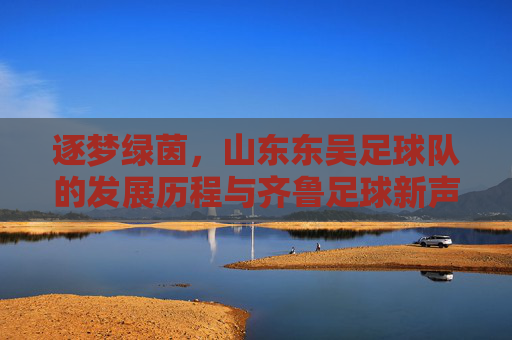 逐梦绿茵,山东东吴足球队的发展历程与齐鲁足球新声,逐梦绿茵,山东东吴足球队发展历程与齐鲁足球新声